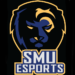 The Next Generation of Gamers: SMU eSports Society