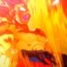 Dragon Ball game: Project Z Teaser Trailer!